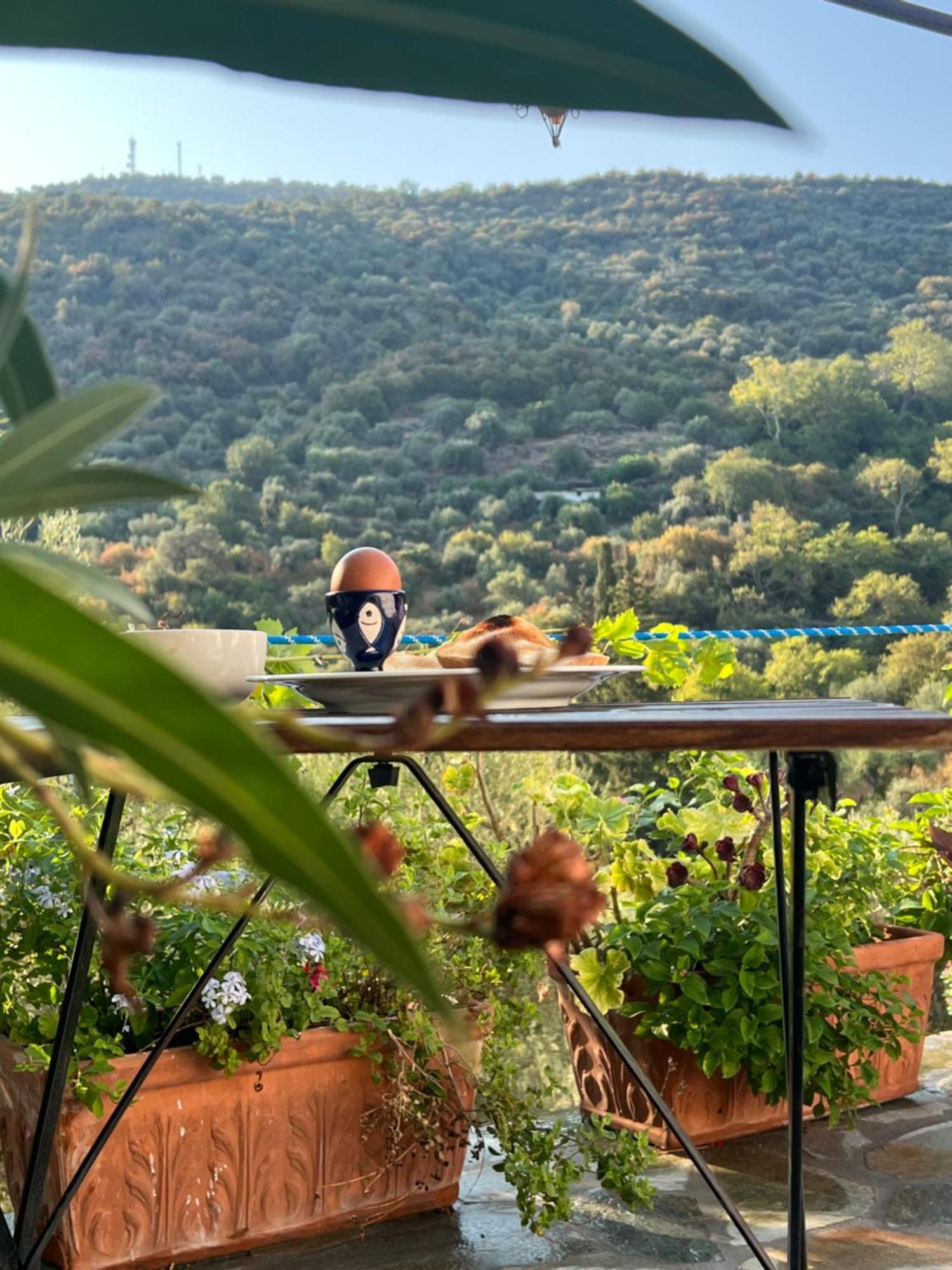 Maison Charme Avec Piscine Privee, Pres De La Mer A Sappounakeika, Tyros Sapounakeika Exterior foto